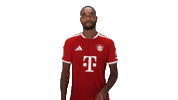 Fc Bayern Football Sticker by Bundesliga