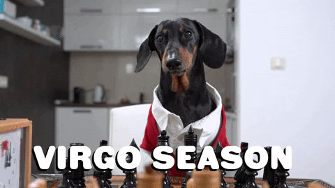 Zodiac Sign Dog GIF by Sealed With A GIF