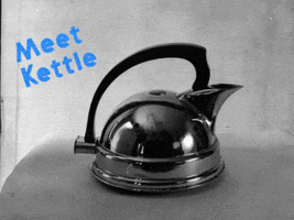 candiceevers pot teapot kettle pot calling the kettle black GIF