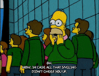 homer simpson episode 6 GIF