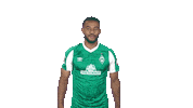 Bundesliga Mbom Sticker by SV Werder Bremen