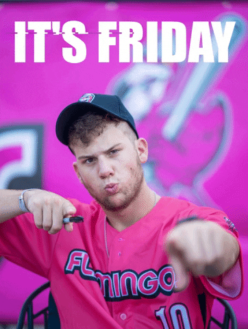 floflamingos giphygifmaker friday hot pink floflamingos GIF