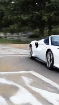 Coches Huskysiberiano GIF