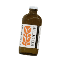 booouuuche flower kombucha bouche booouuuche Sticker