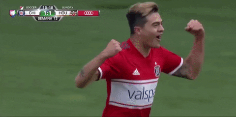 chicago fire sport GIF