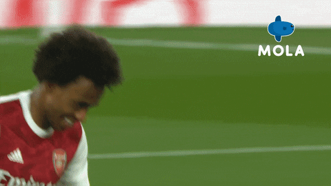 Happy Football GIF by MolaTV
