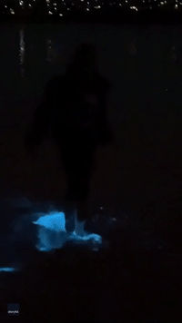 Father and Daughter Splash Through Bioluminescent Water in South Australia