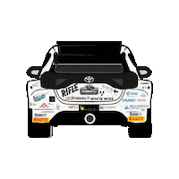 Racing Race Sticker by Fiorio Cup