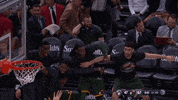 georges niang bench reaction GIF by Utah Jazz