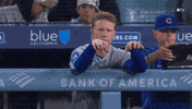 Chicago Cubs Baseball GIF