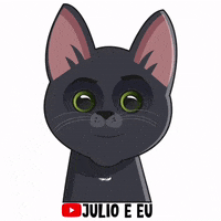 julioeeu cat glasses gato smart GIF