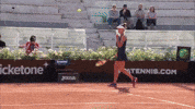 Kudermetova GIF