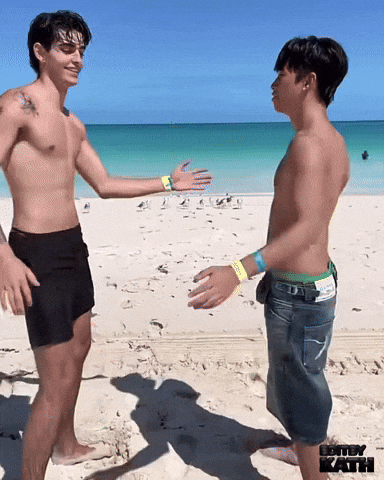 Fight Wtf GIF