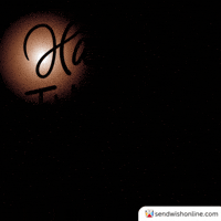 Give Thanks Holiday Season GIF by sendwishonline.com