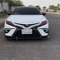 Camry GIF