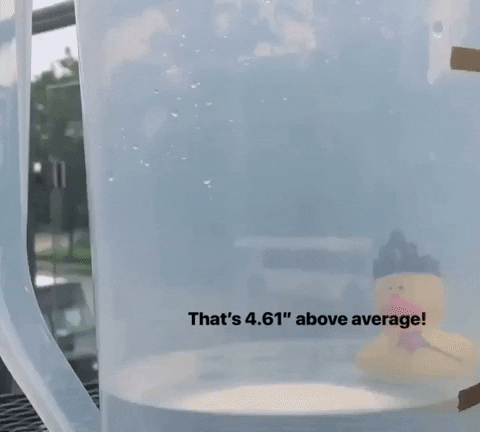 average rain GIF by WCPO - 9 On Your Side
