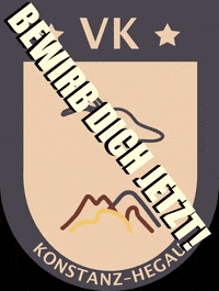 vk_konstanz team engagement vk ehrenamt GIF