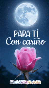 Para Ti Corazon GIF by Murcianys LLC