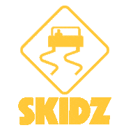 Japanese Tokyo Sticker by SKIDZ