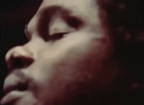 Bob Marley And The Wailers Reggae GIF by Bob Marley
