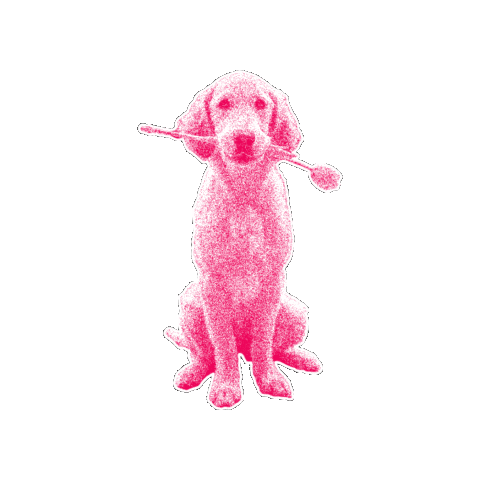 Politk Sticker by NEOS