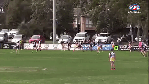 liam stocker GIF by AFL