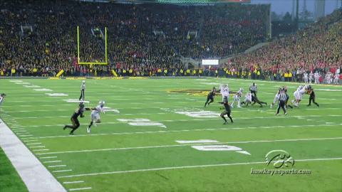 hawks GIF by University of Iowa Hawkeyes Athletics