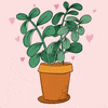 Flower Pot Plant GIF by Katie Vaz