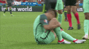 euro2016 GIF by Sporza