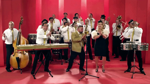 csocece giphygifmaker GIF