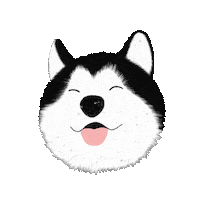 Dog Pet Sticker