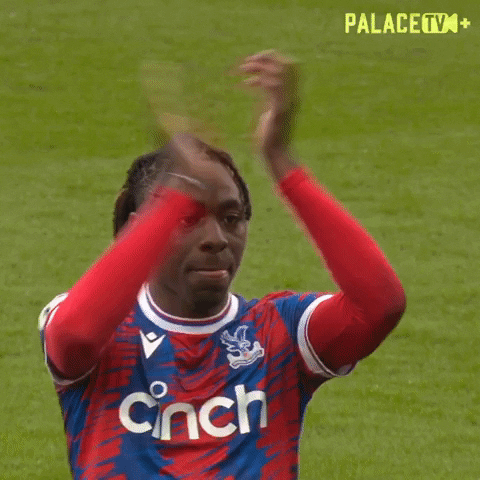 Premier League Win GIF by Crystal Palace Football Club