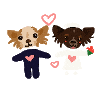 Studiodassie Sticker