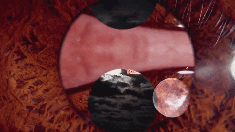 Art Video GIF by jorgemariozuleta