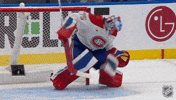 Happy Montreal Canadiens GIF by NHL