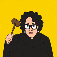 Supreme Court Judge GIF by joeyahlbum