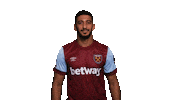 Premier League Hammers Sticker by West Ham United