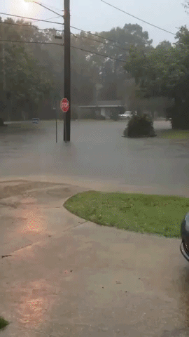 Heavy Rain Triggers Flooding Along Gulf Coast