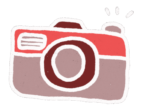 Picture Camera Sticker