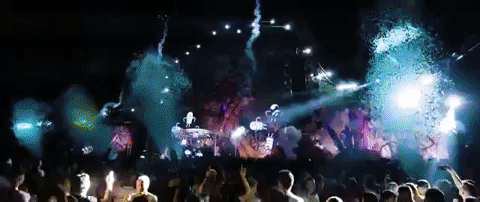 party celebration GIF by Neverland Festival
