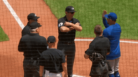 Blue Jays Baseball GIF by Toronto Blue Jays