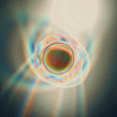 GIF by adampizurny