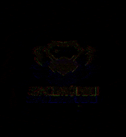 spacemonki techno spacemonki GIF