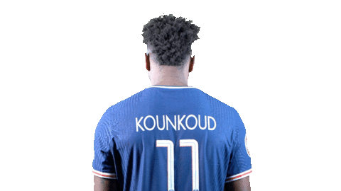 France Sport Sticker by Paris Saint-Germain Handball