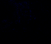 schnellebuntebilder vvvv hlsl optical flow scene flow GIF