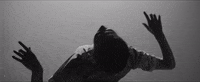 Film Noir GIF by English National Ballet