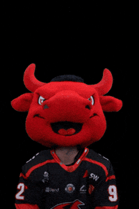 Happy Hockey GIF by Saale Bulls