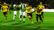 bundesliga ramos GIF by Borussia Dortmund