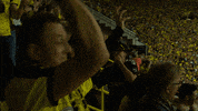 Borussia Dortmund GIF