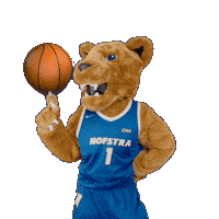 New York Basketball Sticker by Hofstra University